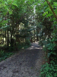 41633954894_cd9492528e_n.jpg