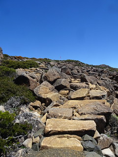 46665200112_4bb33e3f46_n.jpg