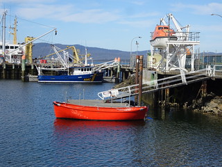 37722710666_935ed2ebc3_n.jpg
