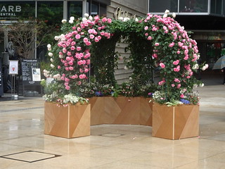 42556764991_6cece82740_n.jpg