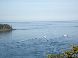 27562101637_415f8dd657_n.jpg
