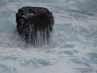 31259158068_752b645f91_n.jpg