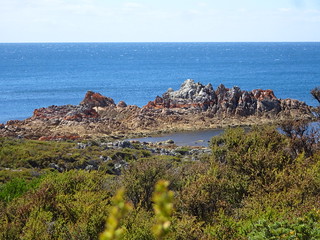 39302373925_ed8c263a85_n.jpg
