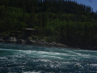 41812340944_90e89b4db7_n.jpg