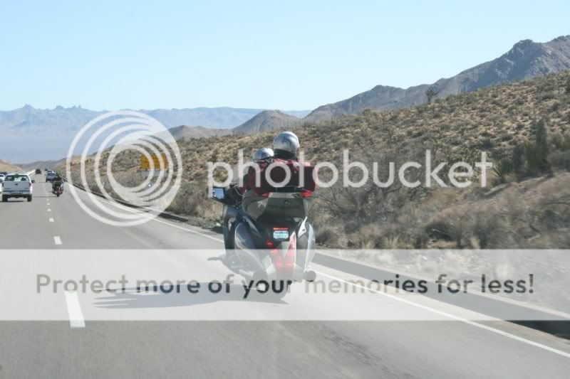Vegas3.jpg