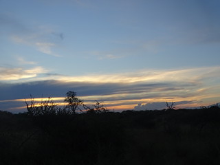 34154404656_5c02f58330_n.jpg