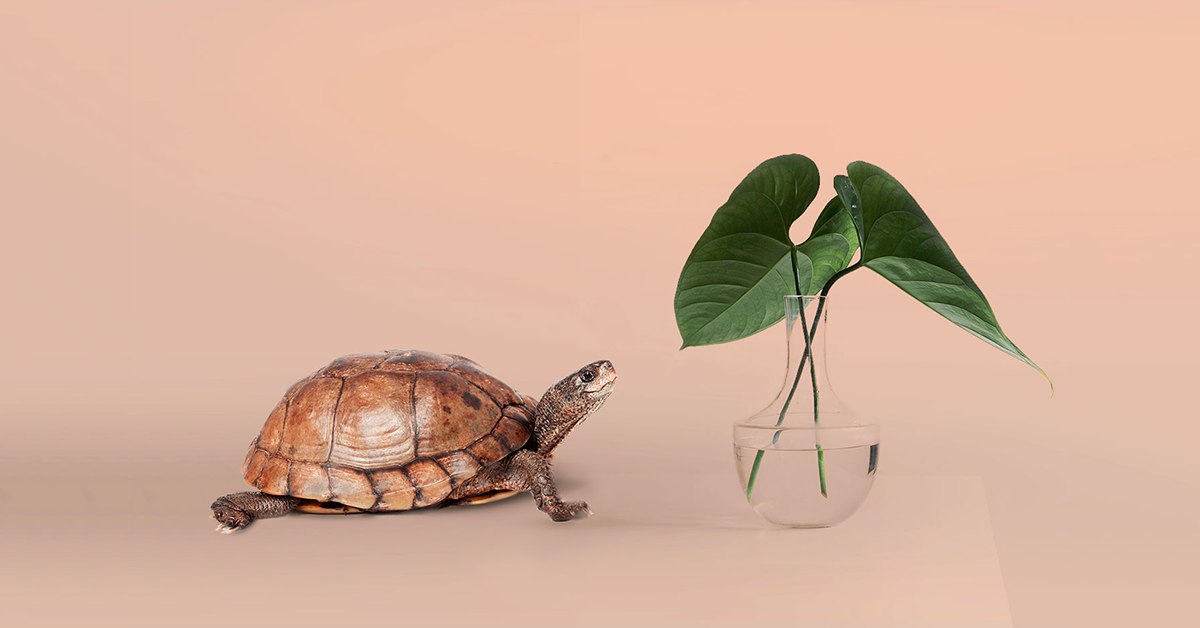 blog.stockspot.com.au