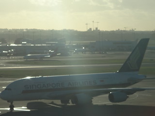 32246349033_8ed15160b1_n.jpg