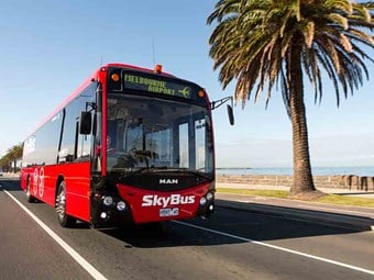 www.busnews.com.au