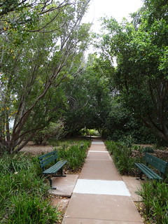 30975279915_6efa770767_n.jpg