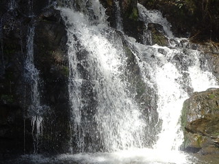 37928113796_0d56738c4c_n.jpg