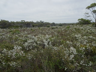 45772950885_0895e06d10_n.jpg