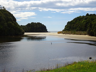 32135156697_c3de296e09_n.jpg