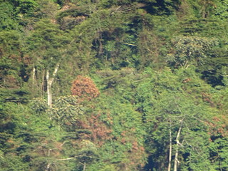 34146089626_9b61c91338_n.jpg