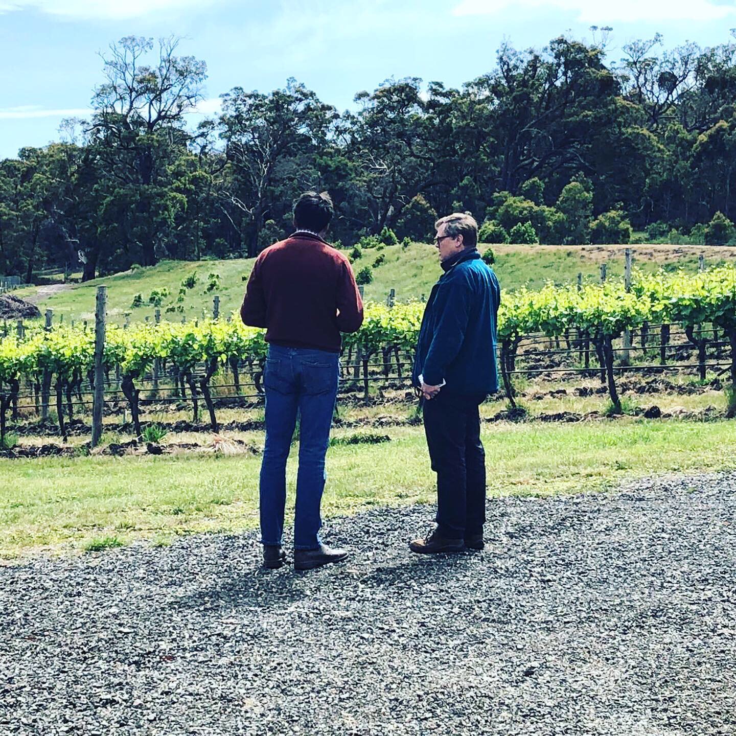 wideworldofwine.co