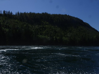 27664618977_2dc14ba2c1_n.jpg
