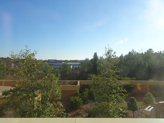 24513751327_87598795d0_n.jpg