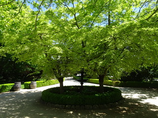 37612174224_f18408b31f_n.jpg