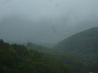 42948973760_ffc7077656_n.jpg