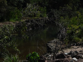 43134028264_615422431b_n.jpg
