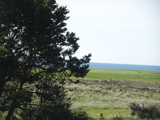 42356376891_272bfb92d1_n.jpg