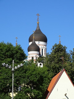 29305454165_a247283132_n.jpg