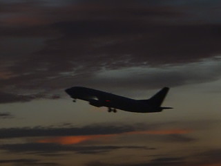 33321083085_586ce29ff9_n.jpg