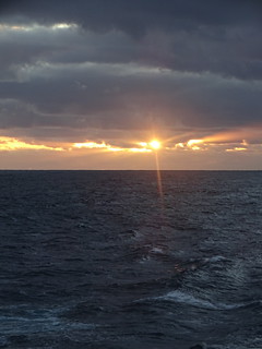 34175183405_1911d35f5b_n.jpg