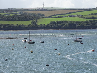 29616166845_d71ef7d688_n.jpg