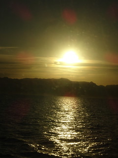 41152499825_f0ced6171a_n.jpg