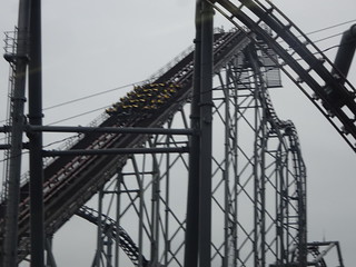 29713160747_486af93241_n.jpg