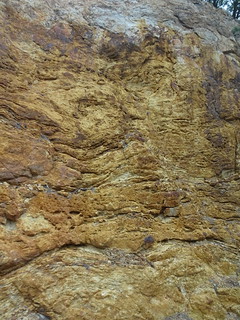 42008380882_0e288cc2bb_n.jpg