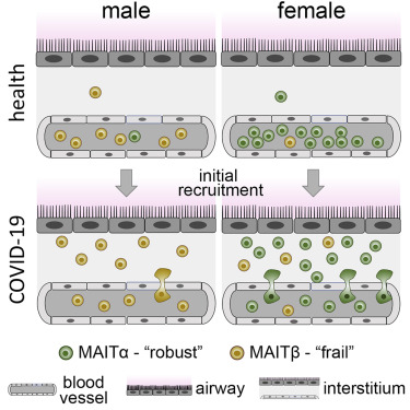 www.sciencedirect.com