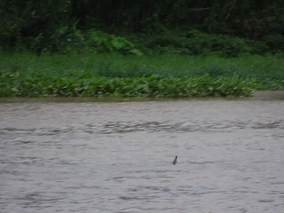 35760735762_1b3d972a49_n.jpg