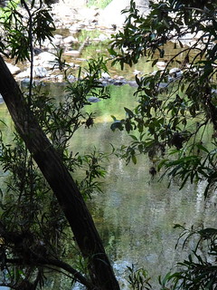 29038221817_7f10283379_n.jpg
