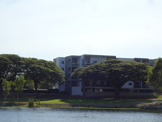 29867062698_c34839caa8_n.jpg