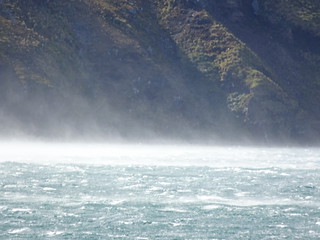 33697436915_6af6b1e04b_n.jpg