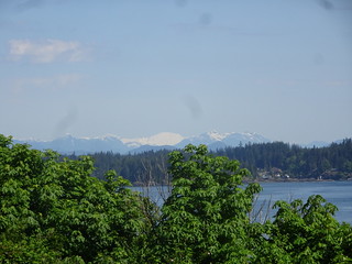42535230671_721c52ee11_n.jpg