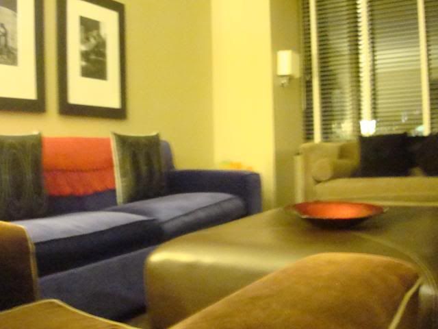 DSC02822.jpg
