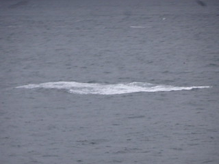 41429880565_9f729d9ed0_n.jpg