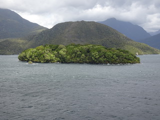 47055642831_c970641b37_n.jpg