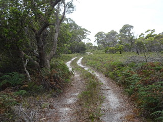 45772962415_39ebb9c284_n.jpg