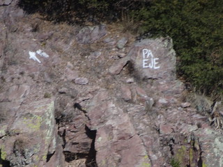 41164494015_d99839105d_n.jpg[
