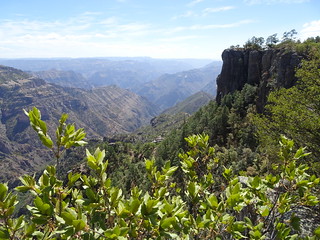 42064671671_8f51224543_n.jpg