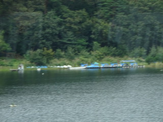 44643278602_8b09a06192_n.jpg