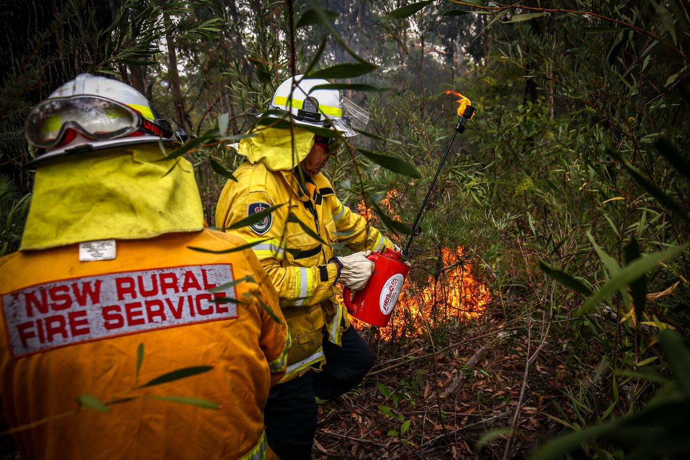 Back Burning Operations On The Outskirts of Sydney As The City's Wildfire Smoke Declared a 'Public Health Emergency'