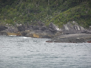 47003728342_793fa2fa7b_n.jpg