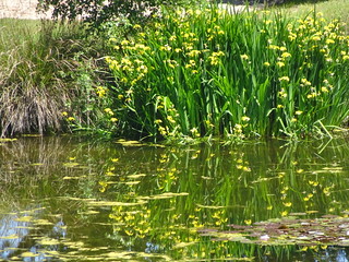 38295950552_d01da48006_n.jpg