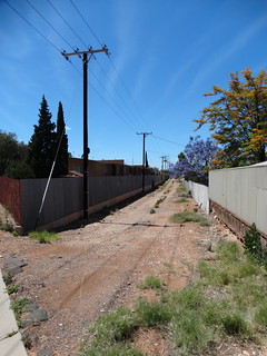 30964648076_0527956efd_n.jpg