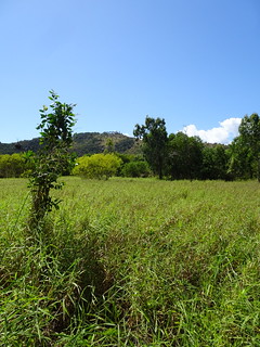 44070067921_3d0122f701_n.jpg